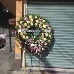 FlorerÍa Paulina