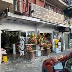 Floreria Paulina