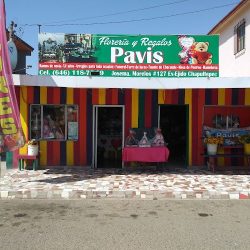 Floreria Pavis