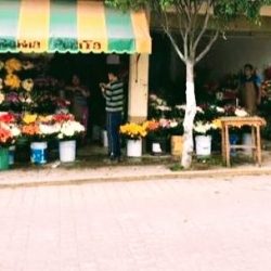 Florería Peñita