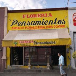 Florería Pensamientos