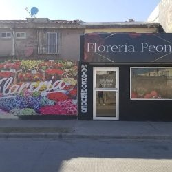 Floreria Peonia