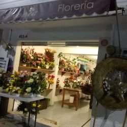 Florería Peonia