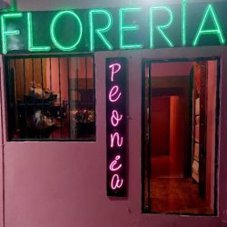 Floreria Peonia.succ Puerta Del Sol