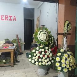 Floreria Pérez