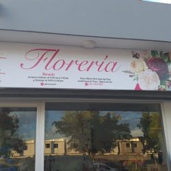 Floreria Perla