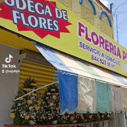 Florería Perlita