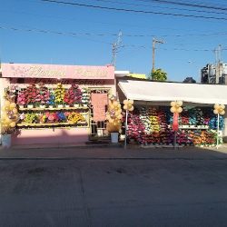 Florería Pétalos