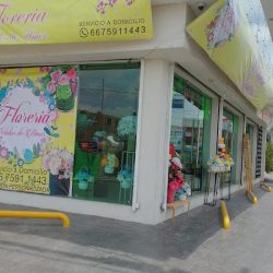 Floreria Petalos De Amor