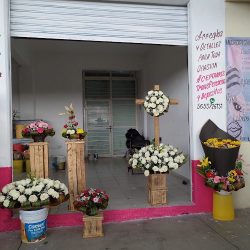 Florería Pétalos De Amor