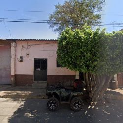 Florería Pétalos Dorados