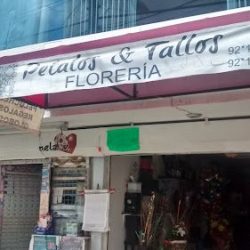 Florería Pétalos & Tallos
