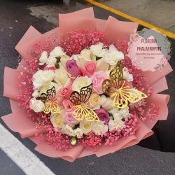 Floreria Phalaenopsis