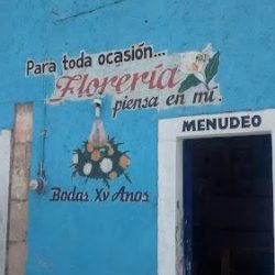 Florería Piensa En Mí