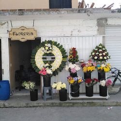 Florería Pilcaya