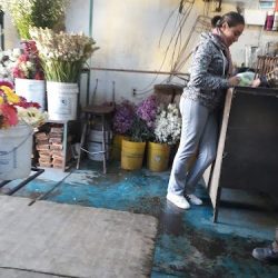 Florería Pimponcito