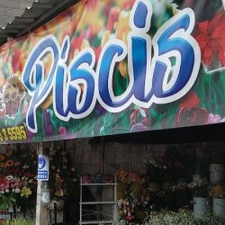 Florería Piscis