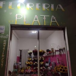 Florería Plata