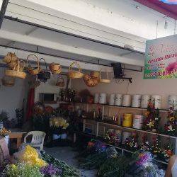 Florería Plaza 2
