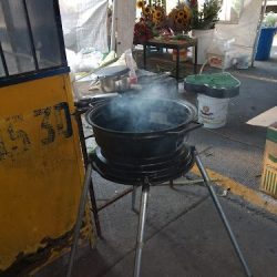 Florería Plaza Arboledas
