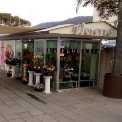 Floreria Plaza Esmeralda