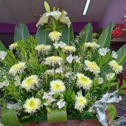 Florería Polette