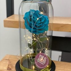 Florería "por El Gusto" Suc Viveros