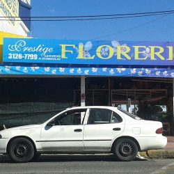 Floreria Prestigio