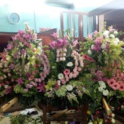 Floreria Primavera