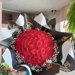 Florería Primavera