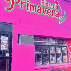 Floreria Primavera