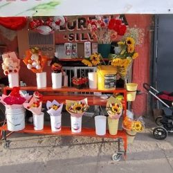 Florería Primavera