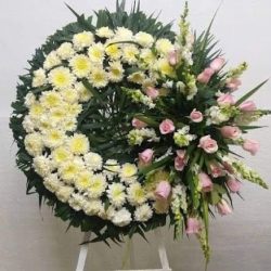 Floreria Primavera