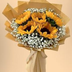 Floreria "primavera"