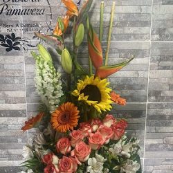 Floreria Primavera