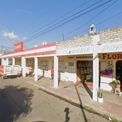 Floreria Primavera