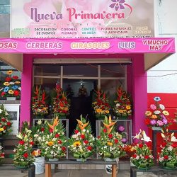 Florería Primavera
