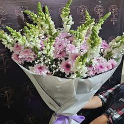 Floreria Primavera