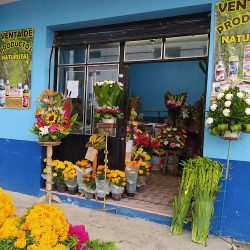 Florería Primavera Xicotepec