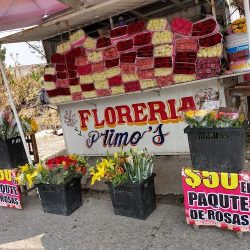 Florería Primo's