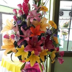 Floreria Princess
