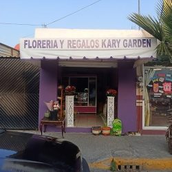 Floreria Protea Luxury