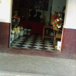 Florería Puente Grande