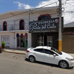 Floreria Punta Del Cielo.
