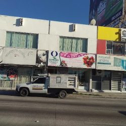 Florería Quality Arte Y Diseño Floral
