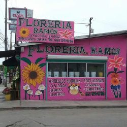 Floreria Ramos