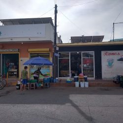 Floreria Ramos Del Rosario Sin.