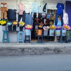 Florería Ramos | Galeana