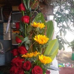 Florería Rayito