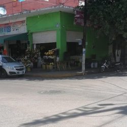 Floreria Regala Flores
